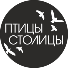 Мастерс