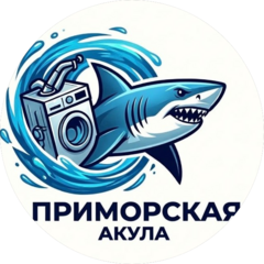 Никитина Диана Николаевна