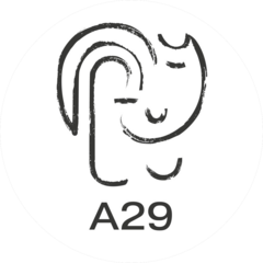 А29