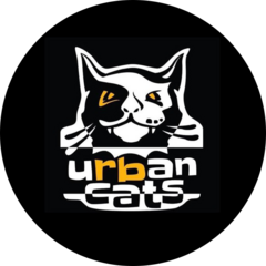Urban Cats