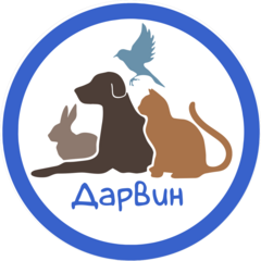 Дарвин, ветеринарная клиника