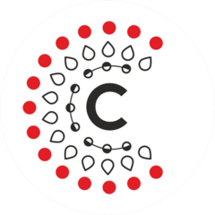 НПО Стрим