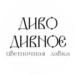 Диво Дивное цветочная лавка