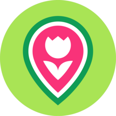 ЦветТопМаркет
