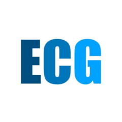 Евразия Консалтинг Группа