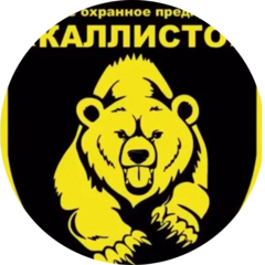ЧОП Каллисто