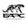 Автохолдинг Барс