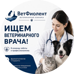 Кузнецов Алексей Евгеньевич