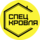 Рау Кирилл Владимирович