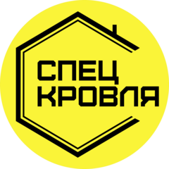 Рау Кирилл Владимирович