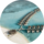 Kuredhivaru Resort and Spa