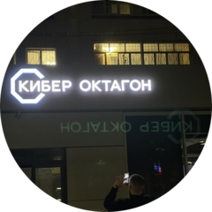 Cyber Octagon