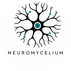 NEUROMYCELIUM