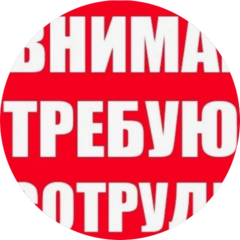 Профессионал СПС