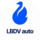 LBDV auto - бренд автотоваров