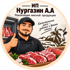 Нургазин А.А.