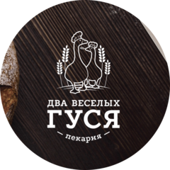 Два весёлых гуся