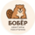 Бобёр