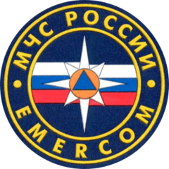 Специальный отдел № 6 ФГКУ Специальное управление ФПС № 3 МЧС России