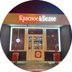 Багишева А В