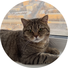 Захарова Светлана Викторовна