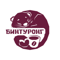 Гладышева Диана Сергеевна