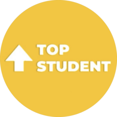 Онлайн-школа TOP STUDENT