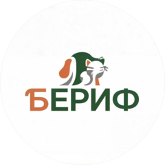 БЕРИФ