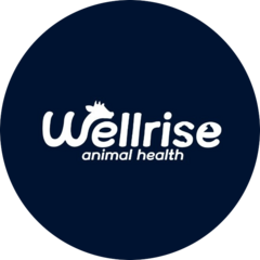 WellRise