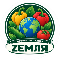 Гольд Александра Валерьевна