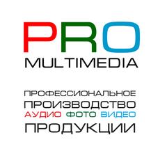 Pro-Multimedia, компания
