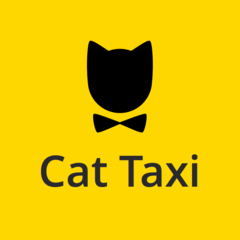 Такси Кэт. Кошачье такси. Кот в такси. Кошка на такси.