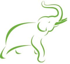 Зеленый слон