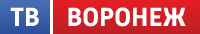Канал тв воронеж сегодня. Воронежское ТВ логотипы. 4 Канал Воронеж лого. Логотип 4 канала Воронеж 2009. ООО "ТВ метод".