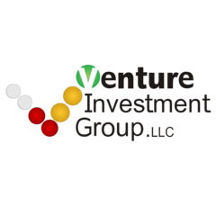 Venture Investment Group