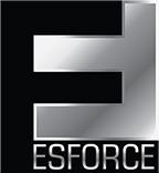 ESforce Holding