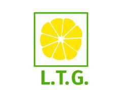 Lemon Technologies Group
