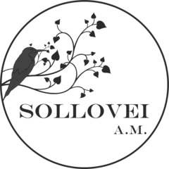 Sollovei A.M (ТМ Home Info Almaty)