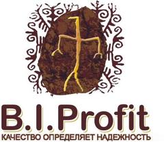 Торговый дом B.I.Profit
