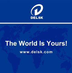 Delsk Group
