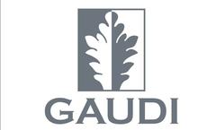 Группа Компаний Gaudi