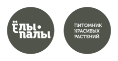 Ёлы-палы