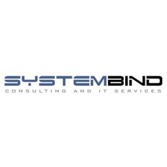Systembind IT Consulting and IT Services