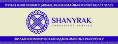 Consulting Service Shanyrak