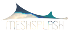 MESHSPLASH
