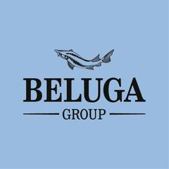 BELUGA GROUP. IT & E-Com