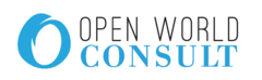 Open World Consult