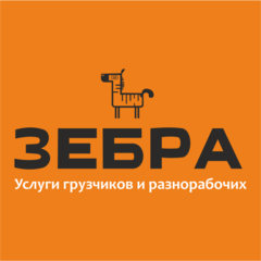 Зебра