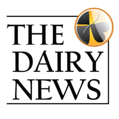 DairyNews.ru, Специализированный информационный портал