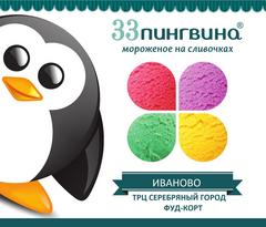 33 Пингвина Иваново